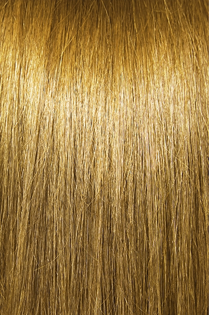 #14A Ashier Wheat Blonde