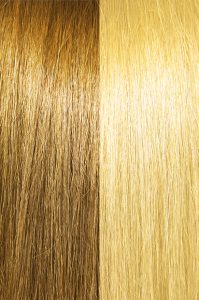 #14/24 Ashier Wheat Brown/Golden Blonde 