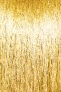 #BL16 Light Honey Blonde